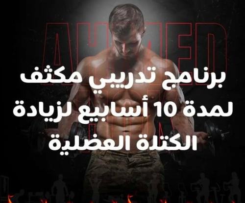 برنامج خطة تدربية متكاملة لمده 10 أسابيع