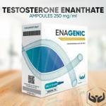 تسترون انيثات Testosterone Enanthate 250mg/ml