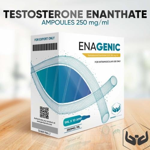 تسترون انيثات Testosterone Enanthate 250mg/ml